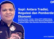 Sopi: Antara Tradisi, Regulasi dan Pemberdayaan Ekonomi