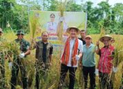 Bupati Tanimbar: Pertanian Harus Maju, Petani Harus Sejahtera