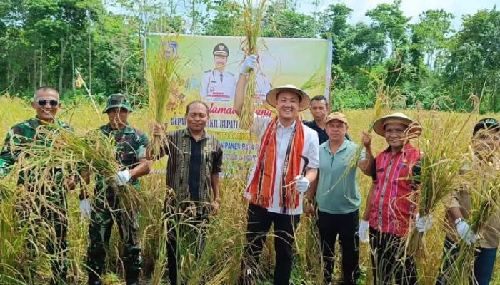 Bupati Tanimbar: Pertanian Harus Maju, Petani Harus Sejahtera