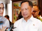 Mendagri: Moratorium Itu untuk DOB, Bukan Daerah Istimewa