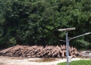 Dianggap Merugikan, Pemilik Lahan Dan Hak Ulayat Pulau Buru Minta Gubernur Maluku Batalkan Pergub No 1 Tahun 2012.