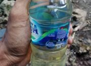 Kepulauan Tanimbar, Kabupaten Kedua Di Maluku Yang Berani Legalkan Sopi.
