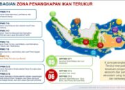 Editorial Redaksi: Nelayan Bale-Bale Tak Bebas Tangkap Telur Ikan Terbang di WPPNRI 715