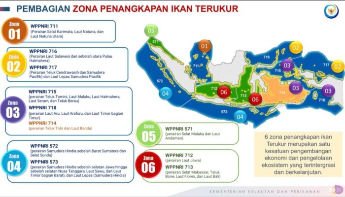 Editorial Redaksi: Nelayan Bale-Bale Tak Bebas Tangkap Telur Ikan Terbang di WPPNRI 715