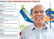 Laipeny: 14 Kapal Nelayan Memiliki SIPI, Mencari Ikan Terbang di Aru Bukan di Tanimbar “123 Kapal Ilegal”