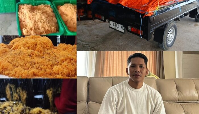Robin Lamusu dan Nelayan Ilegal Rampok 20 Ton Telur Ikan Terbang APH Tutup Mata