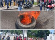 Bupati-Bupati Kecil Halangi PMKRI dan PK: Kantor Pemerintahan Dikuasai Preman