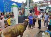 Sambut Idhul Adha 1446 H, Negeri Batu Merah Dapat Dukungan Sumbangan Hewan Kurban