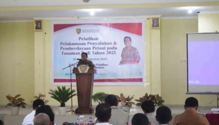 Kejar Target Swasembada Pangan, Distan Maluku Gelar Pelatihan Pelaksanaan Penyuluhan Pemberdayaan  Tanaman Padi