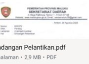 Wagub Umumkan Keponakannya Mundur- SK Beredar, Tanamal Dilantik