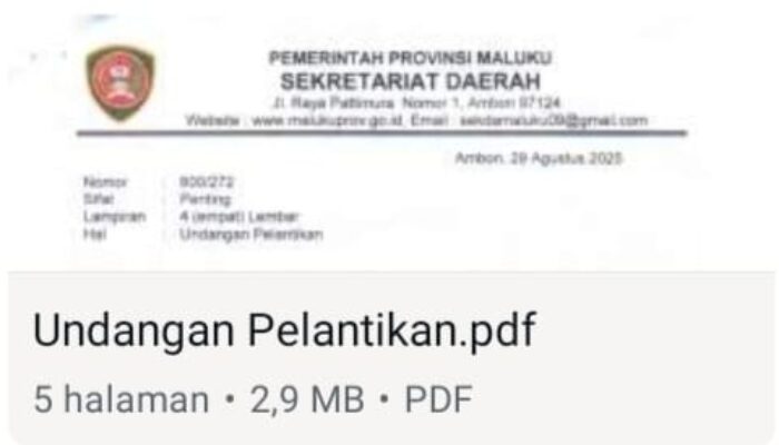Wagub Umumkan Keponakannya Mundur- SK Beredar, Tanamal Dilantik