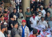 Mario Bantah Tuduhan dan Klarifikasi Isu, Uang Transport Demo Inpex Masela