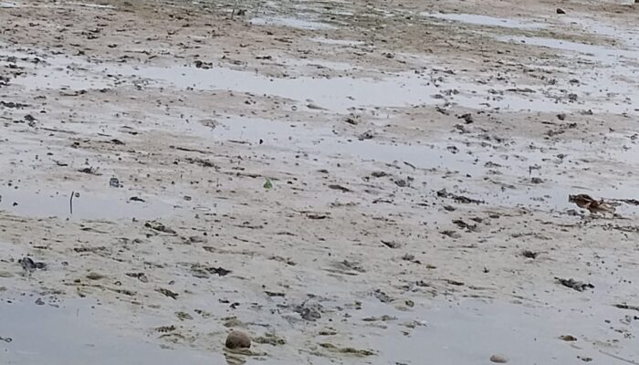 Warga Desak Batalion 734-Saumlaki Turun Tangan Redakan Konflik di Kecamatan Kormomolin