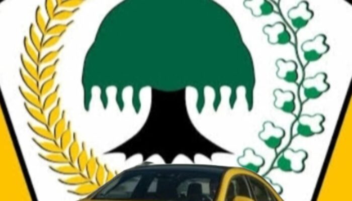 Akademisi : Golkar Ibarat Mercedes Benz, Salah Pilih Sekretaris, Beringin Maluku Bisa Tumbang – Catatan Kritis Bagi Ketua Terpilih