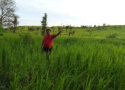 Wuarlela, Sekcam yang Menjadi Sandaran Harapan Rakyat Wuarlabobar