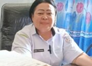 Dinkes Tanimbar Klarifikasi Isu Kekosongan Dokter dan Obat di Puskesmas Seira