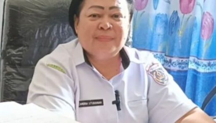 Dinkes Tanimbar Klarifikasi Isu Kekosongan Dokter dan Obat di Puskesmas Seira