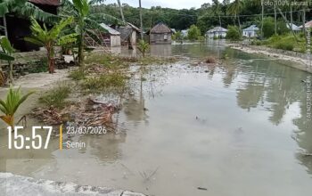 Banjir Rob Tahunan Rendam Permukiman Warga Namralan