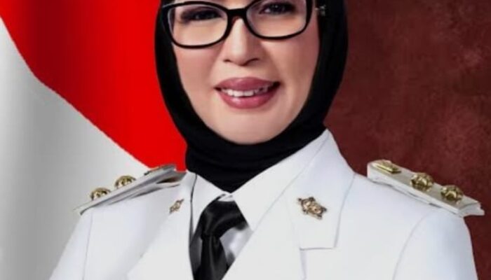 Garuda Di Dada, Wawali :  Karpet Merah Elly Toisuta Menuju Beringin Satu Kota Ambon