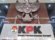 KNPI Maluku Tekan KPK Tangani Dugaan Korupsi UP3 Tanimbar