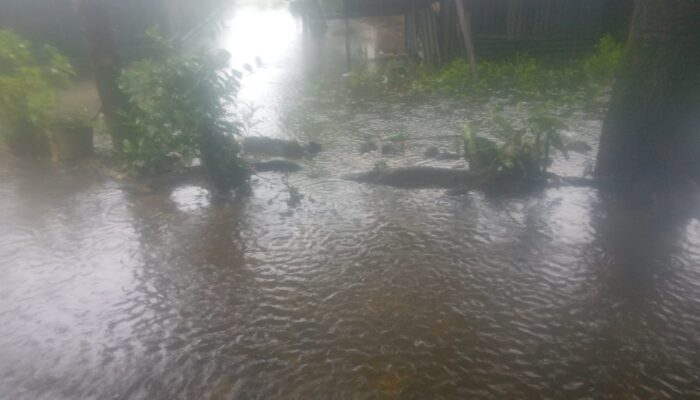 Banjir Tahunan Desa Ridol Kembali Terjadi, Warga Keluhkan Penanganan