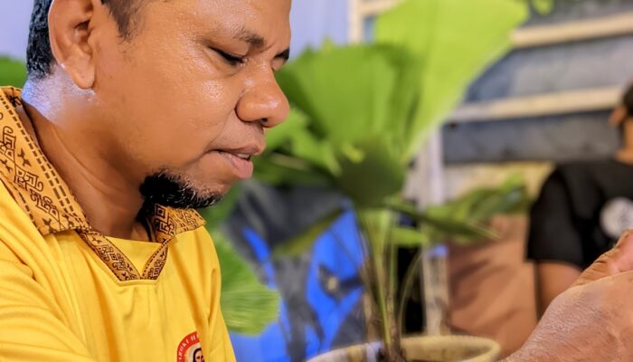 Ke Mana Palu DPRD Saat Rakyat Tanimbar Menjerit