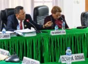 Yan Sairdekut: INPEX Jangan Jadikan Tanimbar Babu di Negeri Sendiri