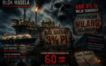 Kiamat Ekonomi Tanimbar: Hak PI Masela Terancam Hilang Karena Kelalaian Birokrasi