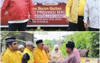 DEPIDAR SOKSI Maluku – DPD I Partai Golkar Salurkan Hewan Kurban Di Negeri Liang Dan Morela