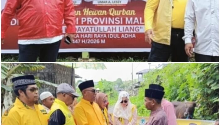 DEPIDAR SOKSI Maluku – DPD I Partai Golkar Salurkan Hewan Kurban Di Negeri Liang Dan Morela