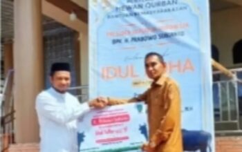Terima 2 Ekor Sapi Kurban, Walikota Tual : Ini Bukti Perhatian Presiden Prabowo Kepada Masyarakat Tual