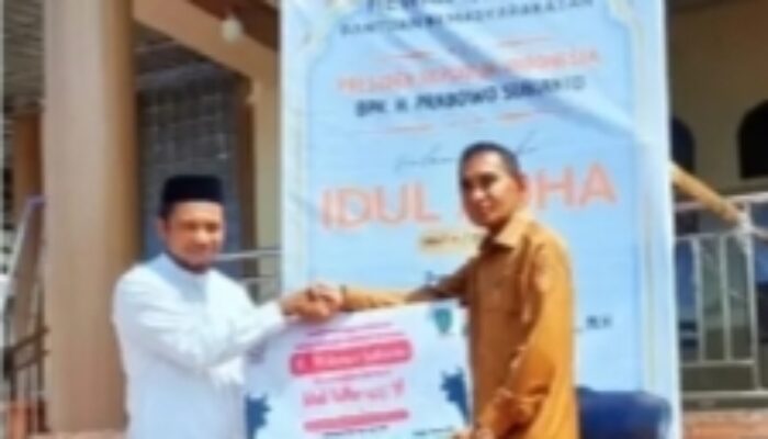 Terima 2 Ekor Sapi Kurban, Walikota Tual : Ini Bukti Perhatian Presiden Prabowo Kepada Masyarakat Tual