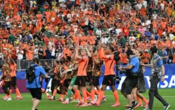 Auman Singa Orange, Belanda Bantai Swedia 5:1