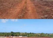 Land Clearing Groundbreaking Proyek Masela Rampung Seratus Persen Hari Ini