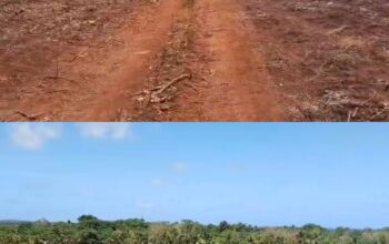 Land Clearing Groundbreaking Proyek Masela Rampung Seratus Persen Hari Ini