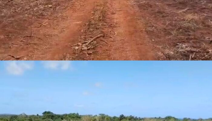 Land Clearing Groundbreaking Proyek Masela Rampung Seratus Persen Hari Ini