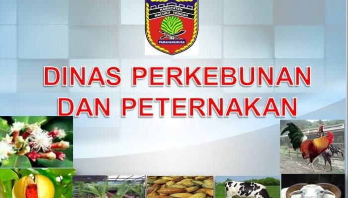 Disbunnak Malteng, Dinas Yang Sangat Tertututup Menginformasikan Program Kegiatan Kepada Publik