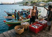 Pulau Seira Penyangga Ikan Masa Depan Ekonomi Tanimbar di Era Blok Masela