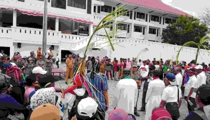 Ekosida Yamdena: Ratusan Warga Kepung Pemkab Seret PT KJB Keluar 