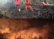 Pulau Kalimantan Terbakar Dalam Sajak Air Mata Keluh Kesah