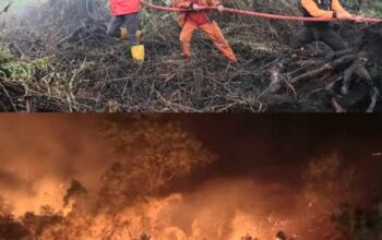 Pulau Kalimantan Terbakar Dalam Sajak Air Mata Keluh Kesah
