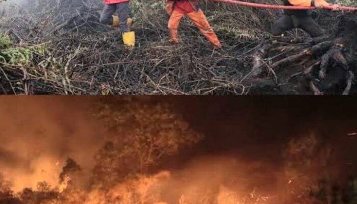 Pulau Kalimantan Terbakar Dalam Sajak Air Mata Keluh Kesah